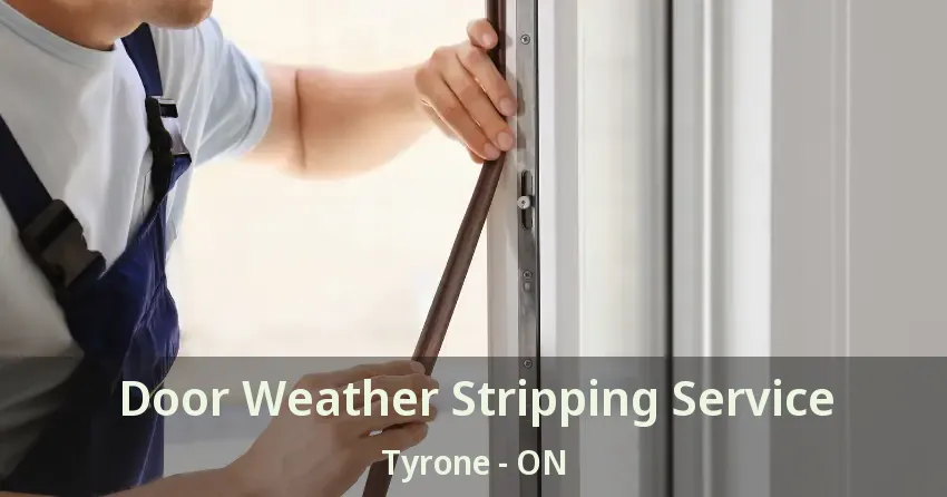 Door Weather Stripping Service Tyrone - ON