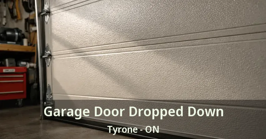 Garage Door Dropped Down Tyrone - ON