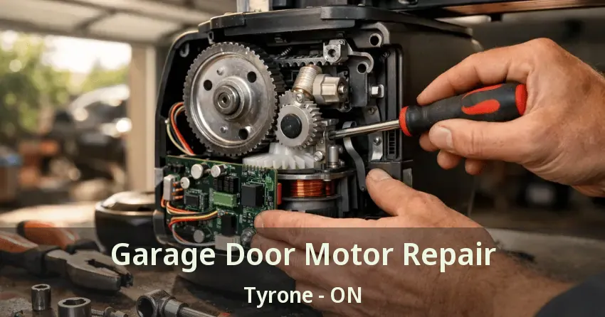 Garage Door Motor Repair Tyrone - ON