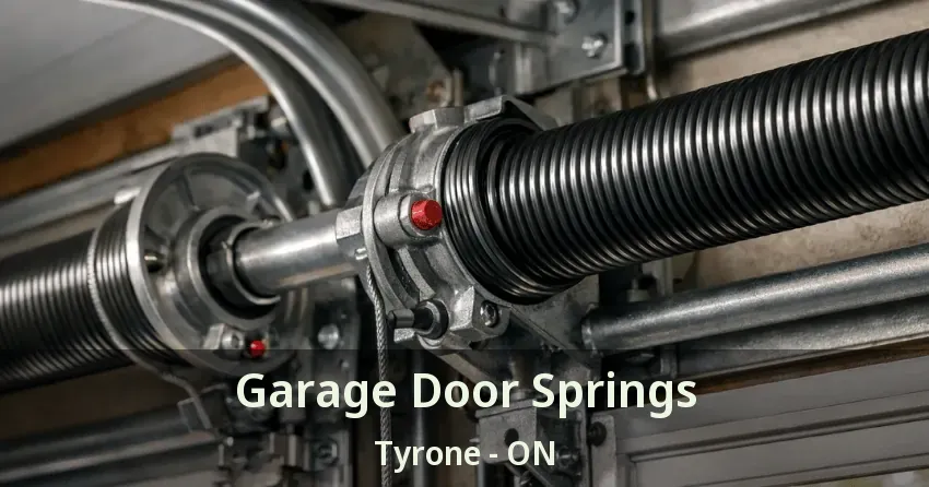 Garage Door Springs Tyrone - ON