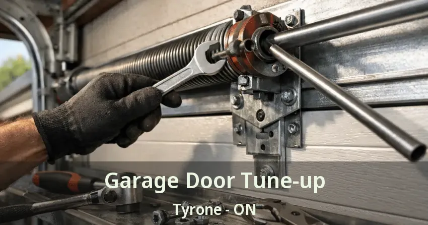 Garage Door Tune-up Tyrone - ON