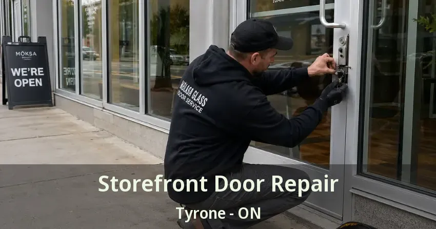 Storefront Door Repair Tyrone - ON