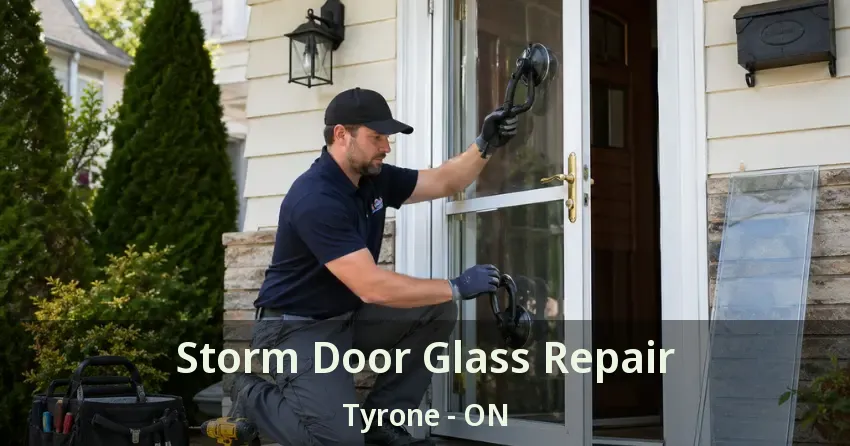 Storm Door Glass Repair Tyrone - ON