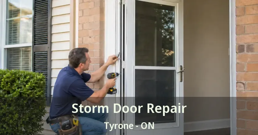Storm Door Repair Tyrone - ON